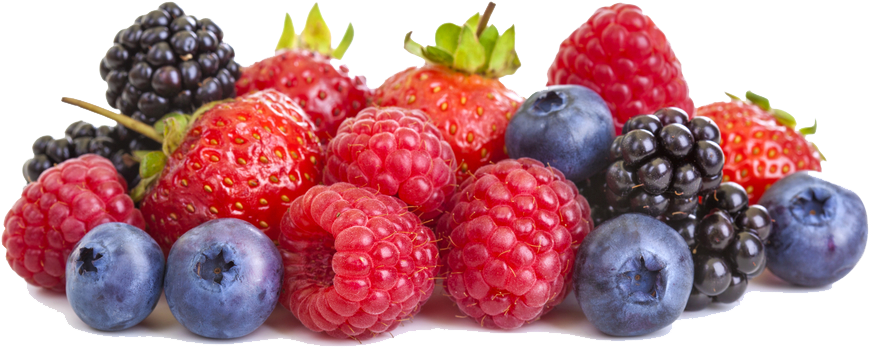Berries Png Hd - Gu Energy Labs, Energy Gel, Tri-berry - 24 Packets (1000x634), Png Download