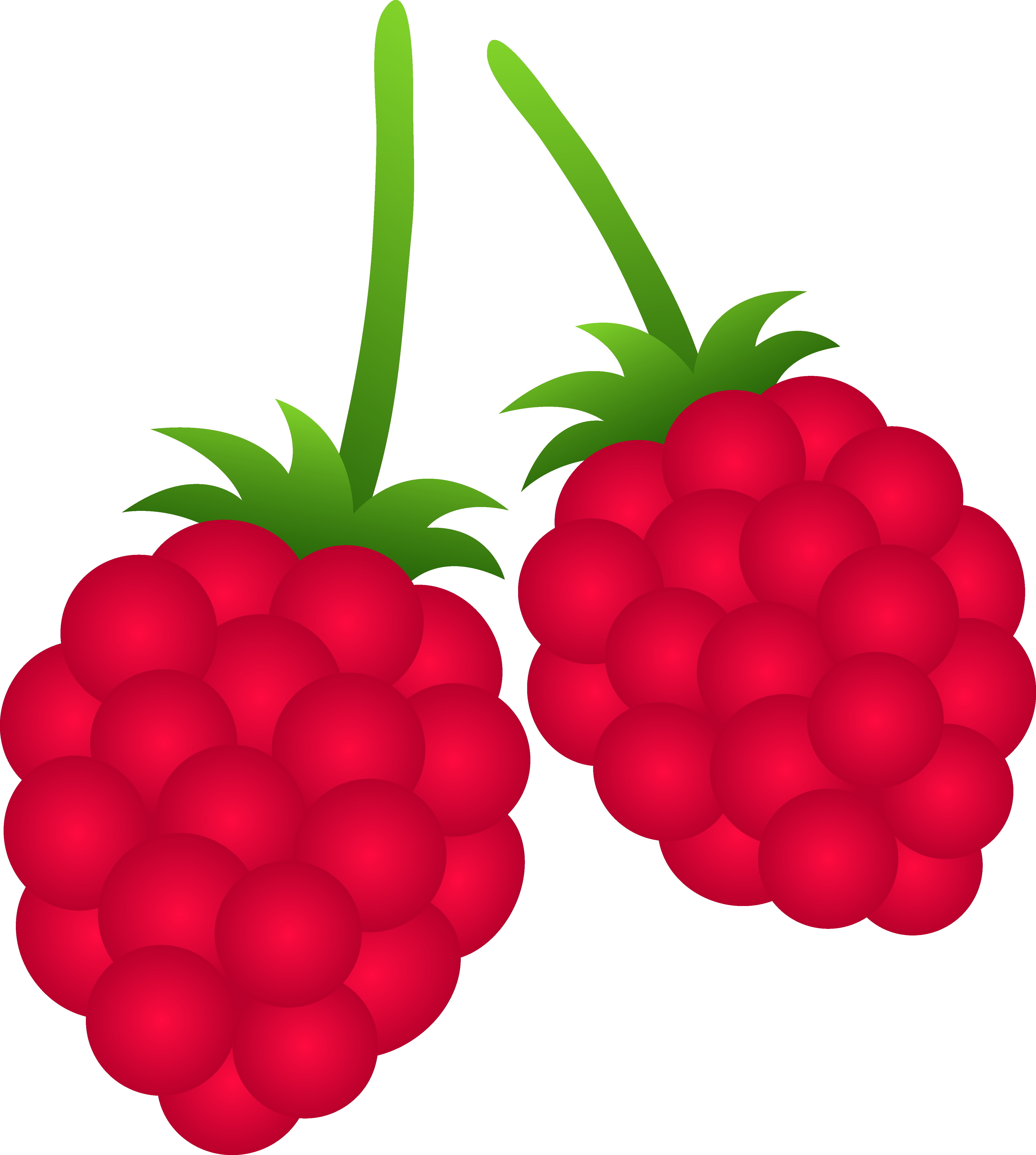 Svg Black And White Library Raspberry Free Clipart - Raspberries Clipart (4571x5098), Png Download