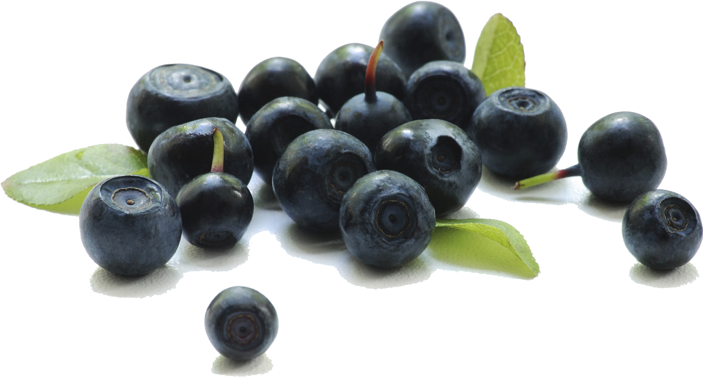 Berries Transparent Background - Transparent Berry Png (1516x807), Png Download