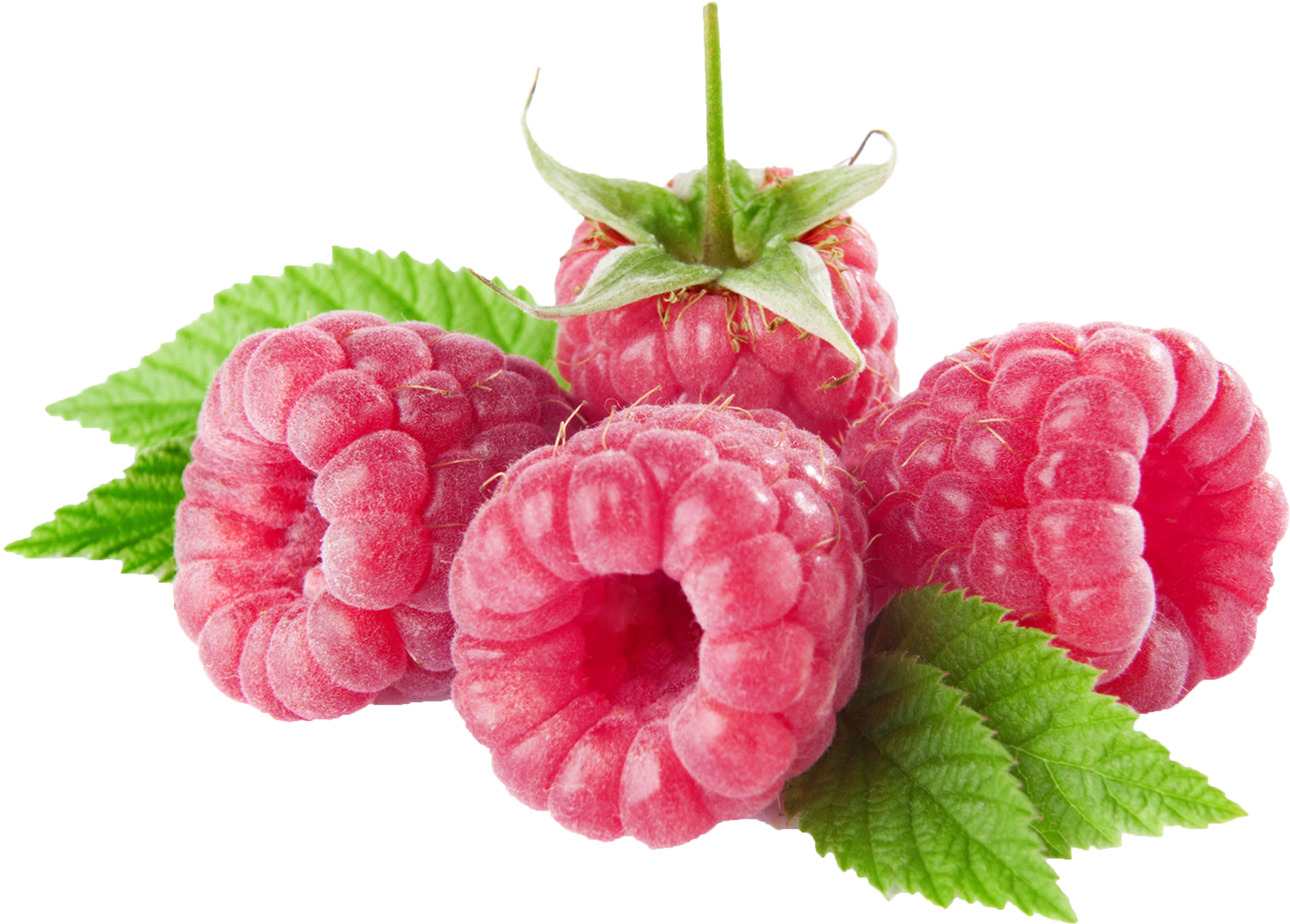 Berries Clipart Raspberry - Raspberries Clipart (2500x1782), Png Download