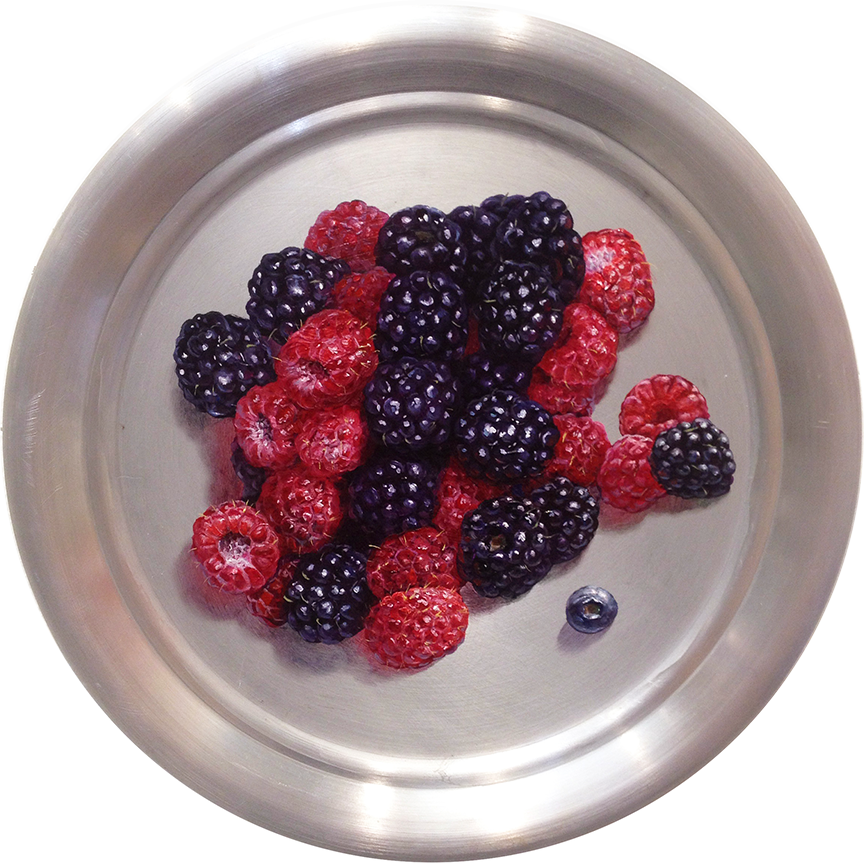 Blackberries And Raspberries, Oil On Aluminum, 11 Inches - Boysenberry (864x864), Png Download