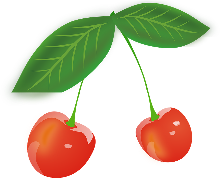 Berry Clipart Free Vector Download For - Cherry Leaves Clipart (878x720), Png Download