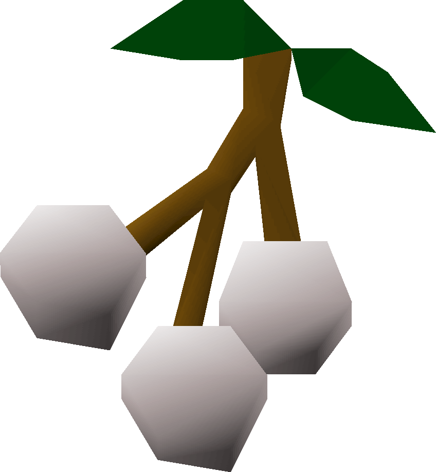 White Berries Detail - Osrs Grapes (848x918), Png Download