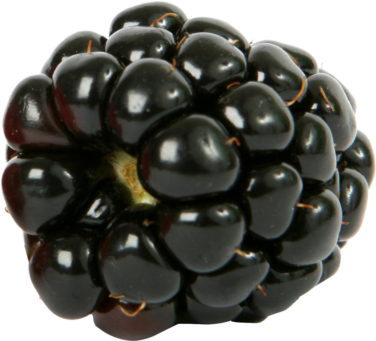 Blackberry Png - Qi - Organic White & Fruity Tea | 25 Bag (1285x1146), Png Download