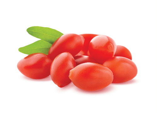 Modern Research Has Been Studying The Berries And Confirming - Goji Berries Png (500x360), Png Download