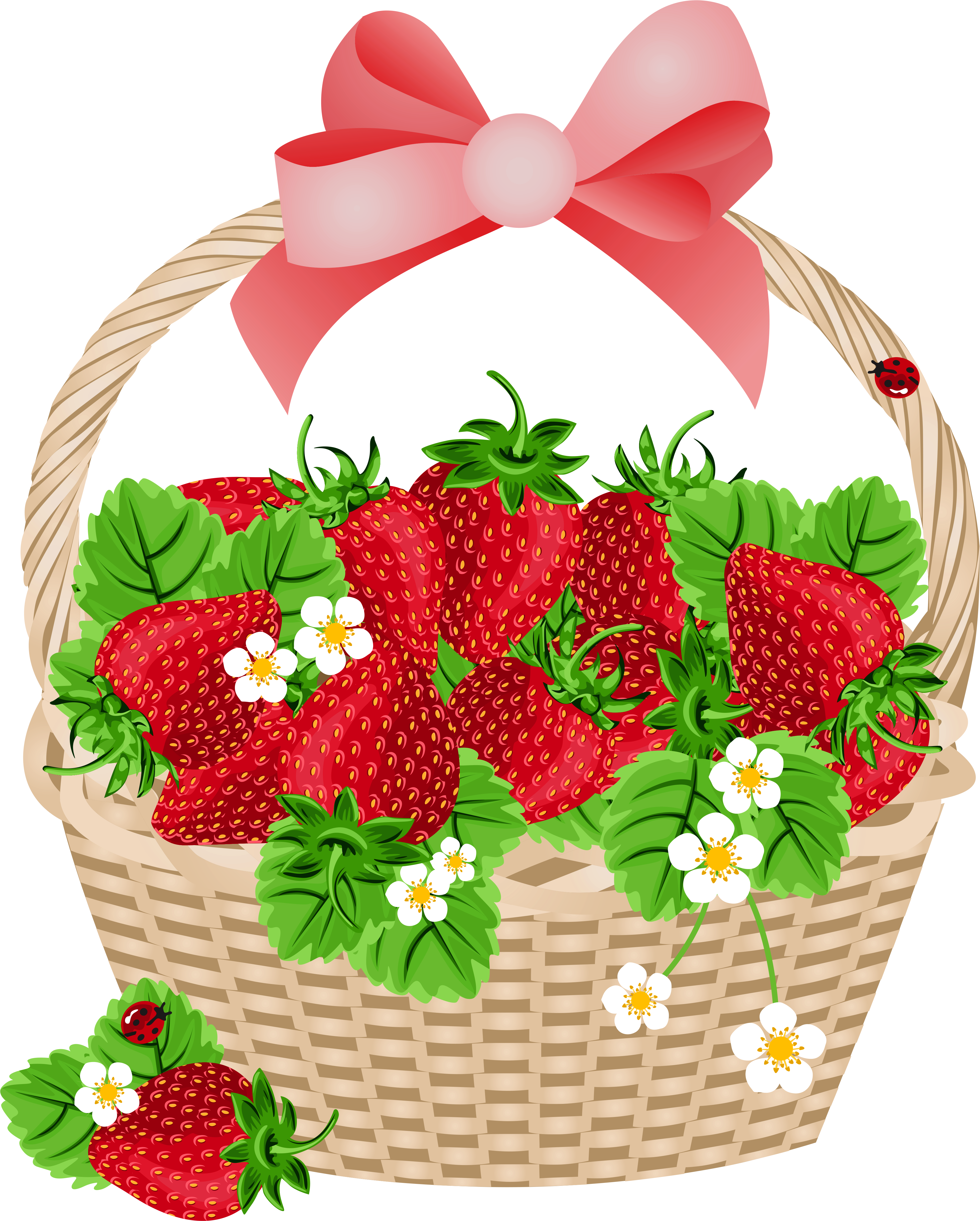 Basket With Strawberries Transparent Png Clipart - Strawberries Clipart Png (486x600), Png Download