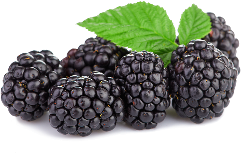 Triple Crown Blackberries - Boysenberry (1000x1000), Png Download