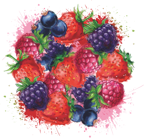 Echo Falls Vodka Summer Berries (469x450), Png Download