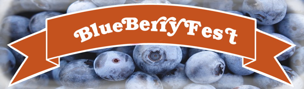 Murray Farm Fest Blue Berry Fest Ribbon - Festival (1000x295), Png Download