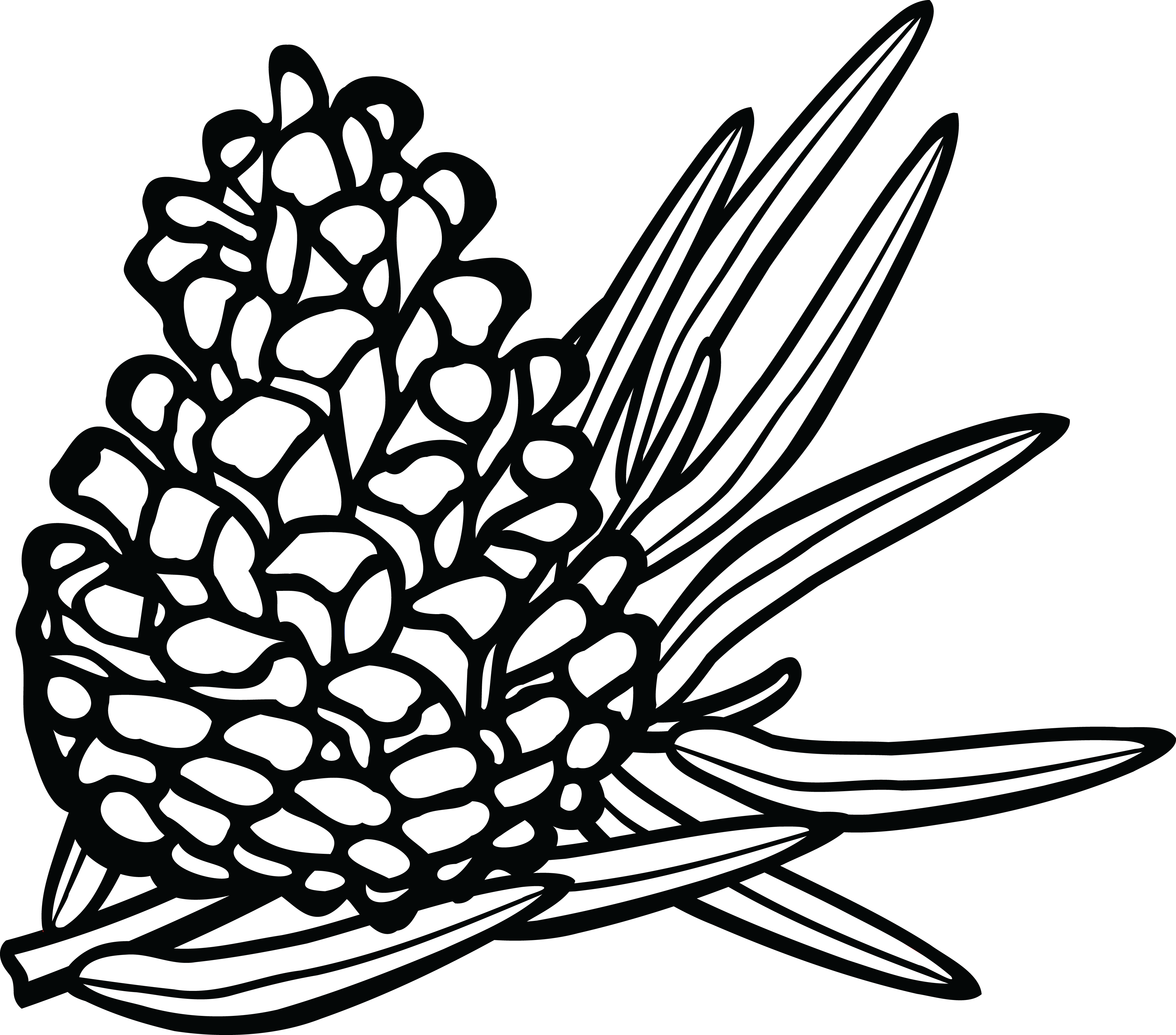 Pine Cone Line Drawing At Getdrawings - Pine Cone Clipart (4000x3519), Png Download