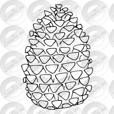 Pinecone Outline For Classroom Therapy Use Great Pinecone - Conifer Cone (380x380), Png Download