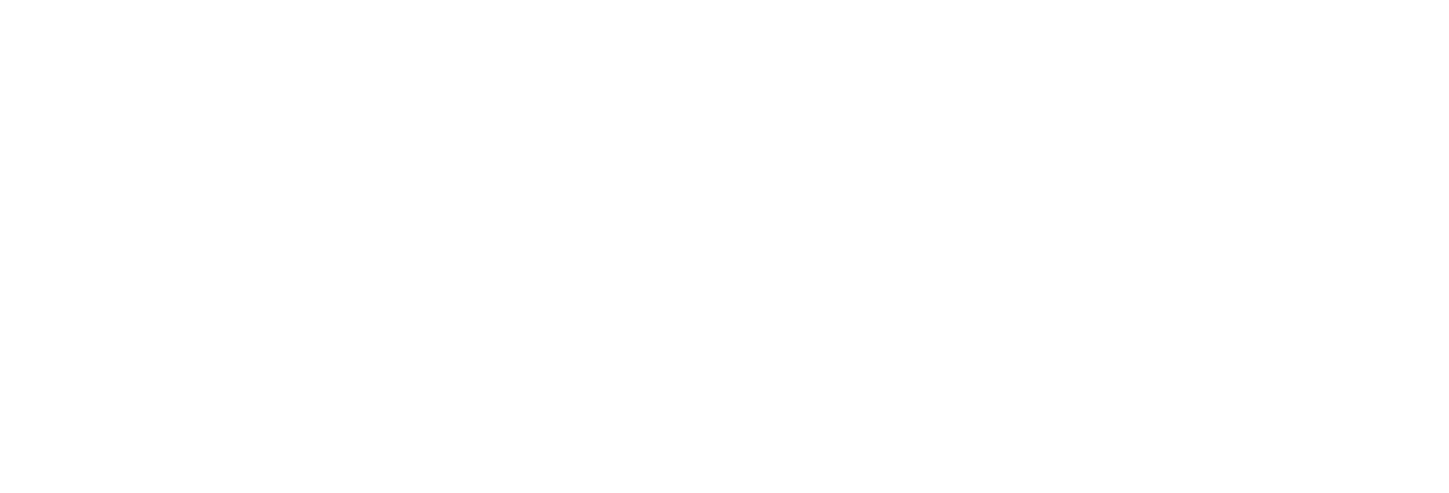 New Logo Reed Insurance White - Soulstar Tshirt Con Stampa Burgunder, Taglia: Large, (2952x1043), Png Download