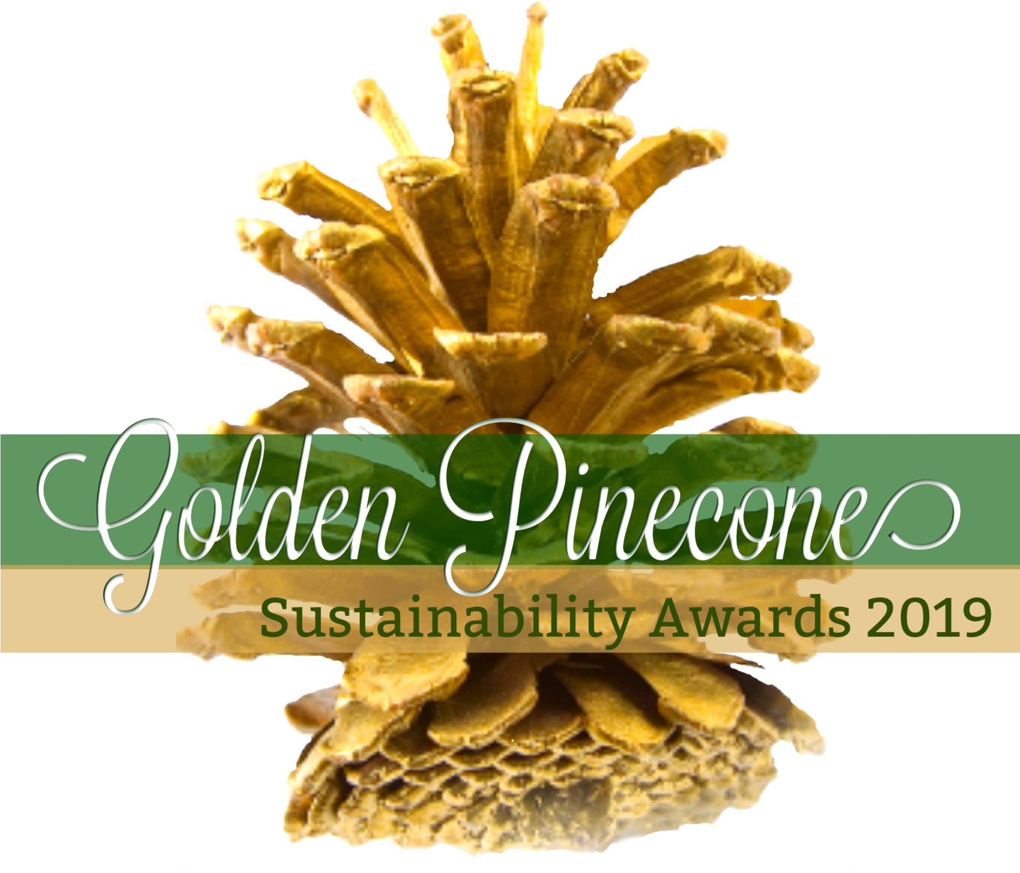 Pinecone 2019 - Social Media (2000x2000), Png Download
