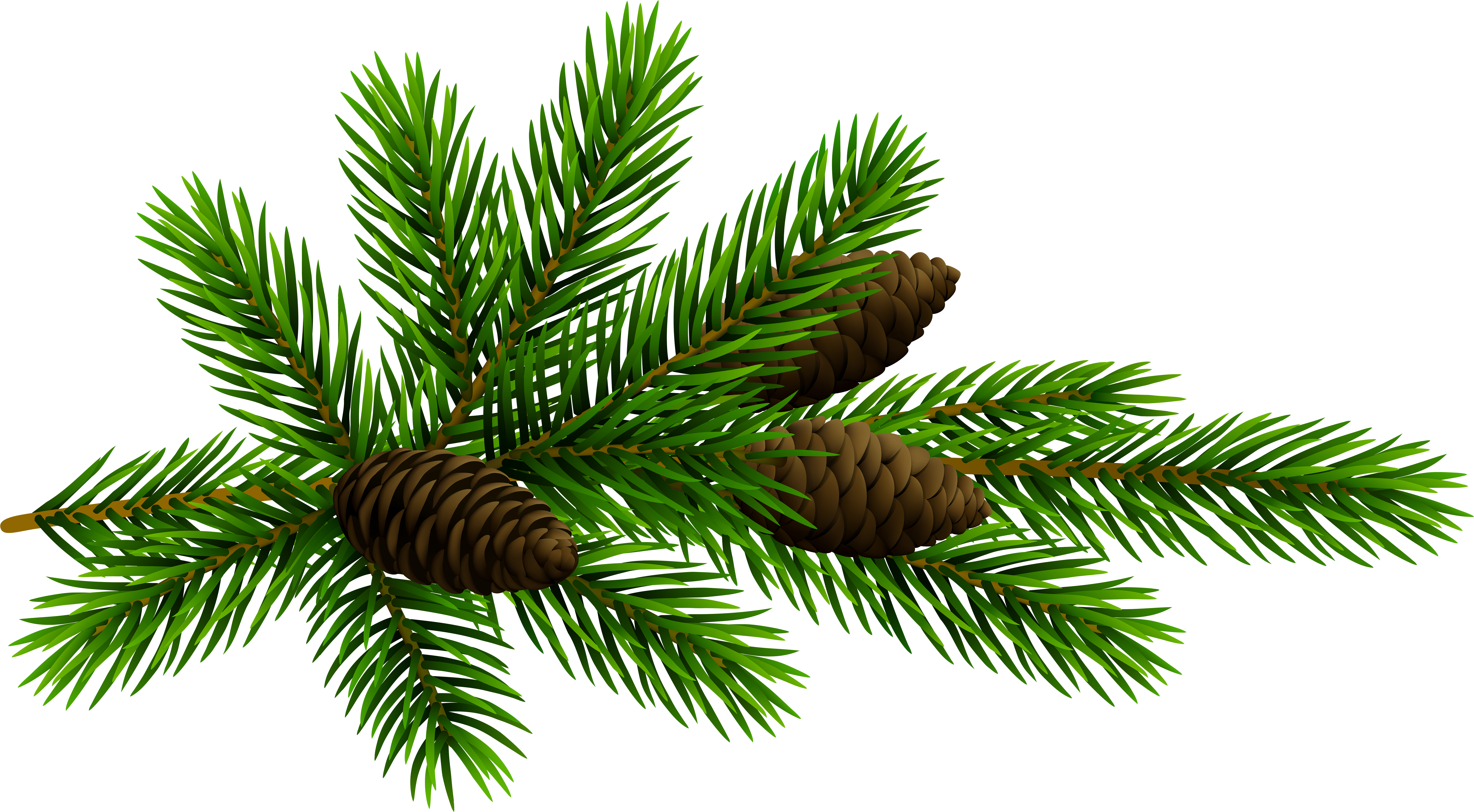 Pine Cone Png Download (8000x4407), Png Download