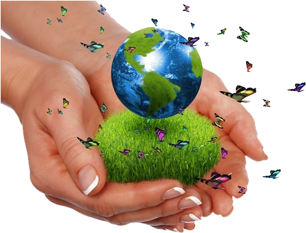 Pope Francis' Encyclical'laudato Si - Earth Is Our Common Home (450x347), Png Download