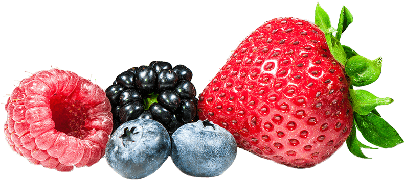 It's No Secret That Over The Years Berries Have Experienced - Tampa International Airport (800x468), Png Download