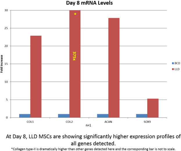 In Addition, Other Studies Performed In Our Lab Found - Messenger Rna (655x540), Png Download