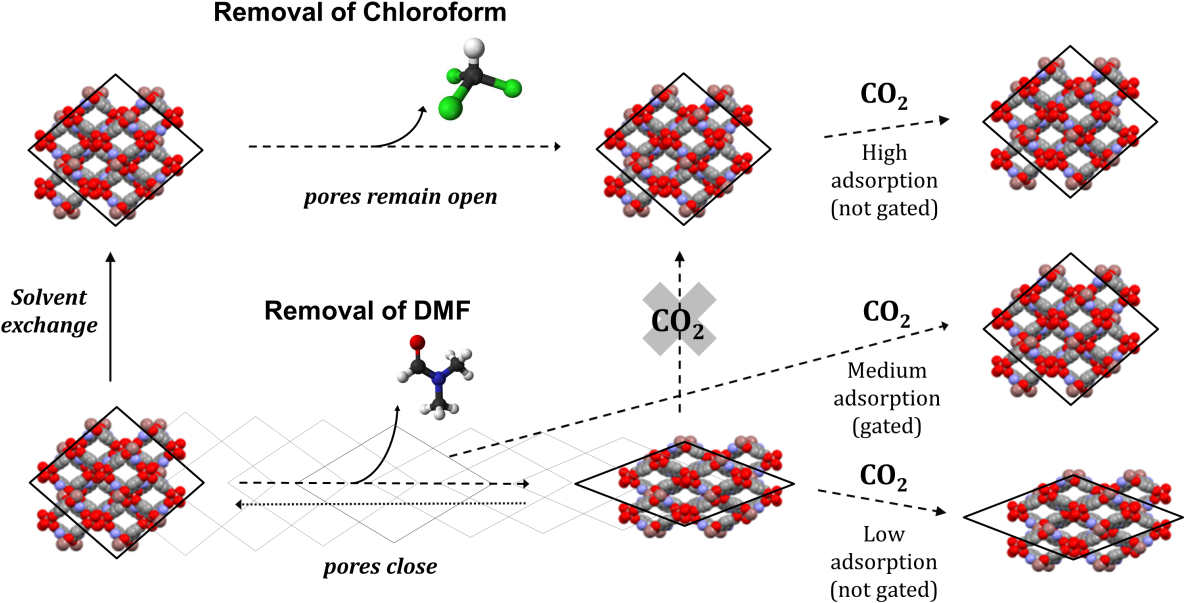 Overview Of The Solvent Dependent Continuous Breathing - Botequim (1212x629), Png Download