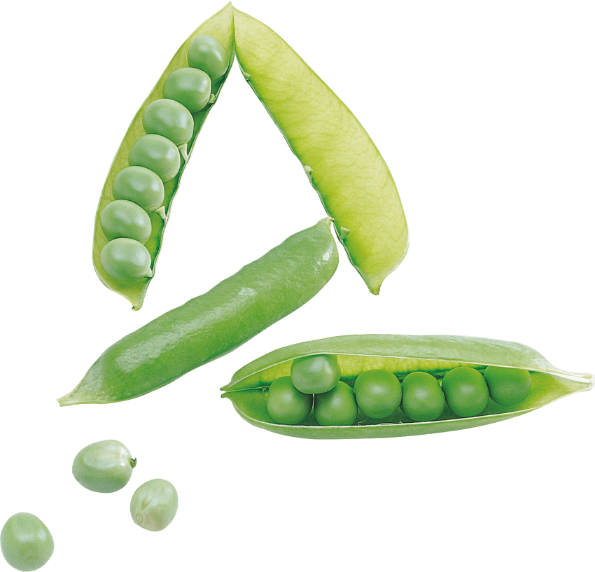 Free Png Pea Png Images Transparent - Pigeon Pea With Transparent Background (850x817), Png Download