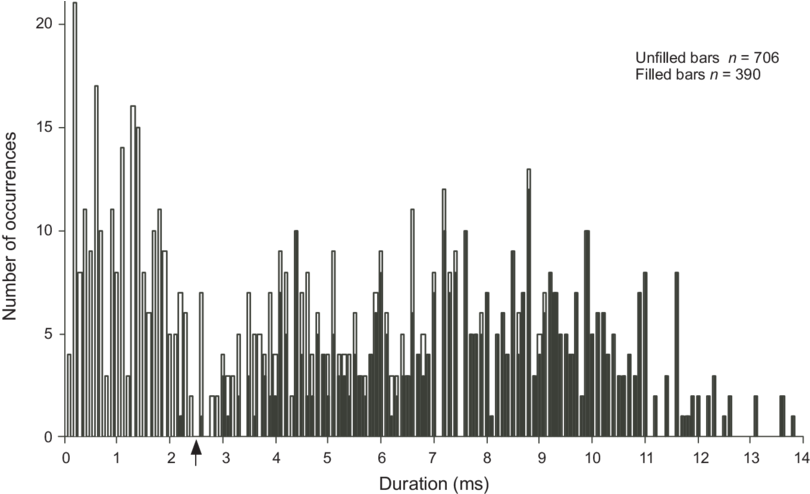 Duration Of All Signals Emitted During Aerial Hawking - Musical Keyboard (850x493), Png Download