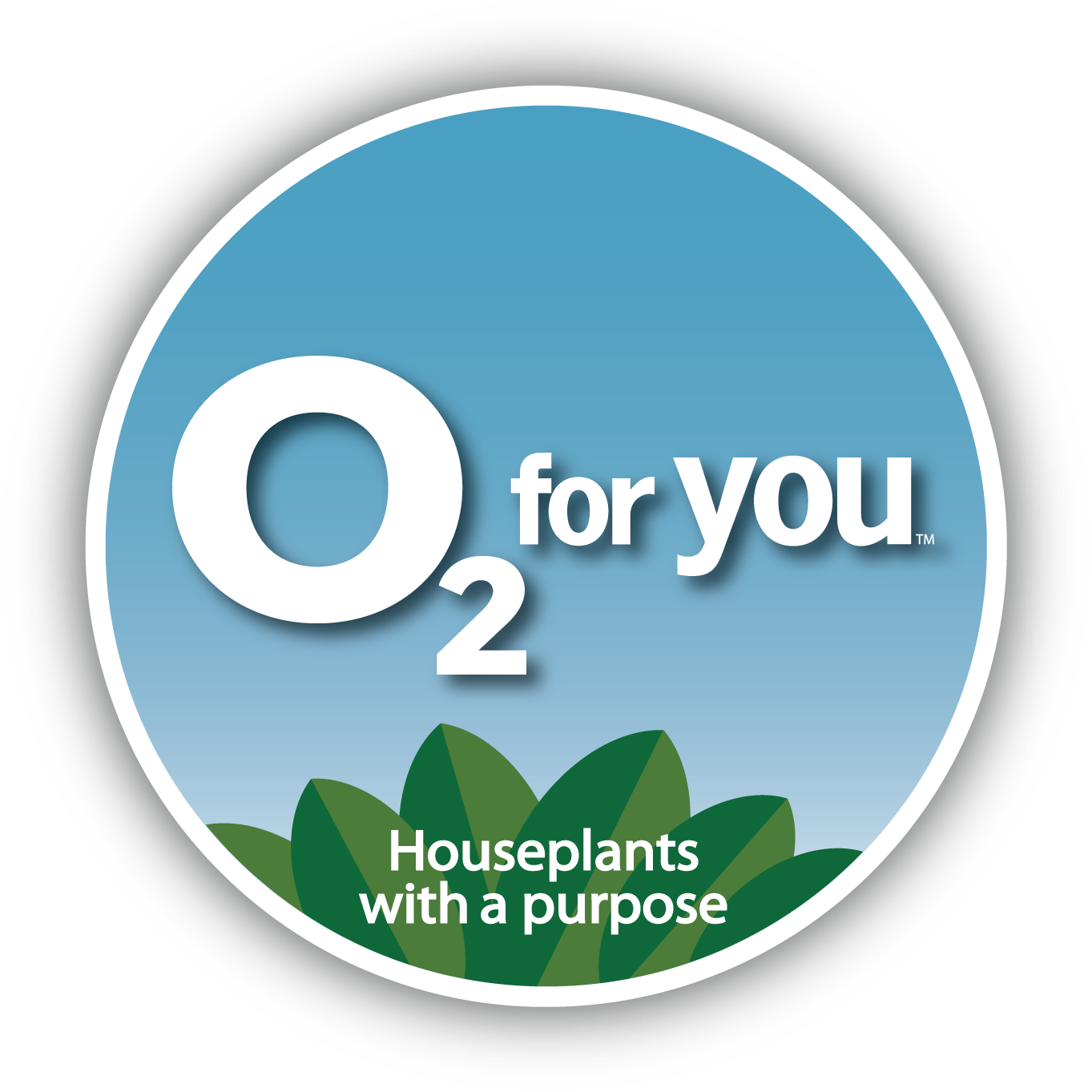 O2 4 U Logo Final Rgb With Shadow Transparent - Houseplant (1388x1390), Png Download