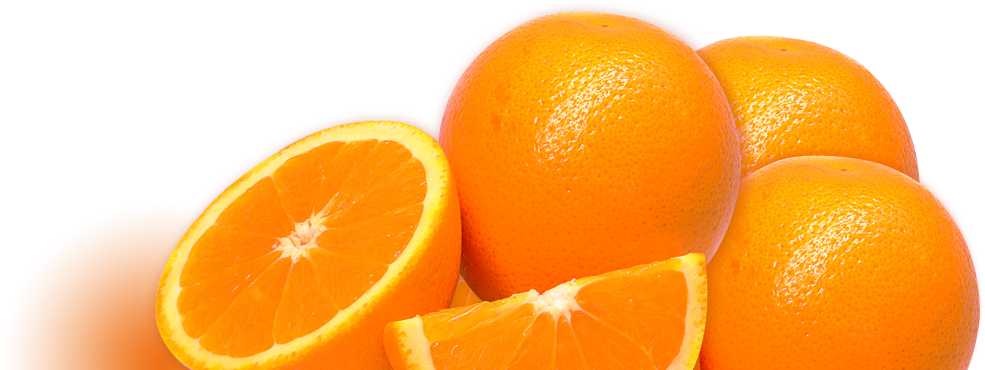 Rangpur (1602x568), Png Download