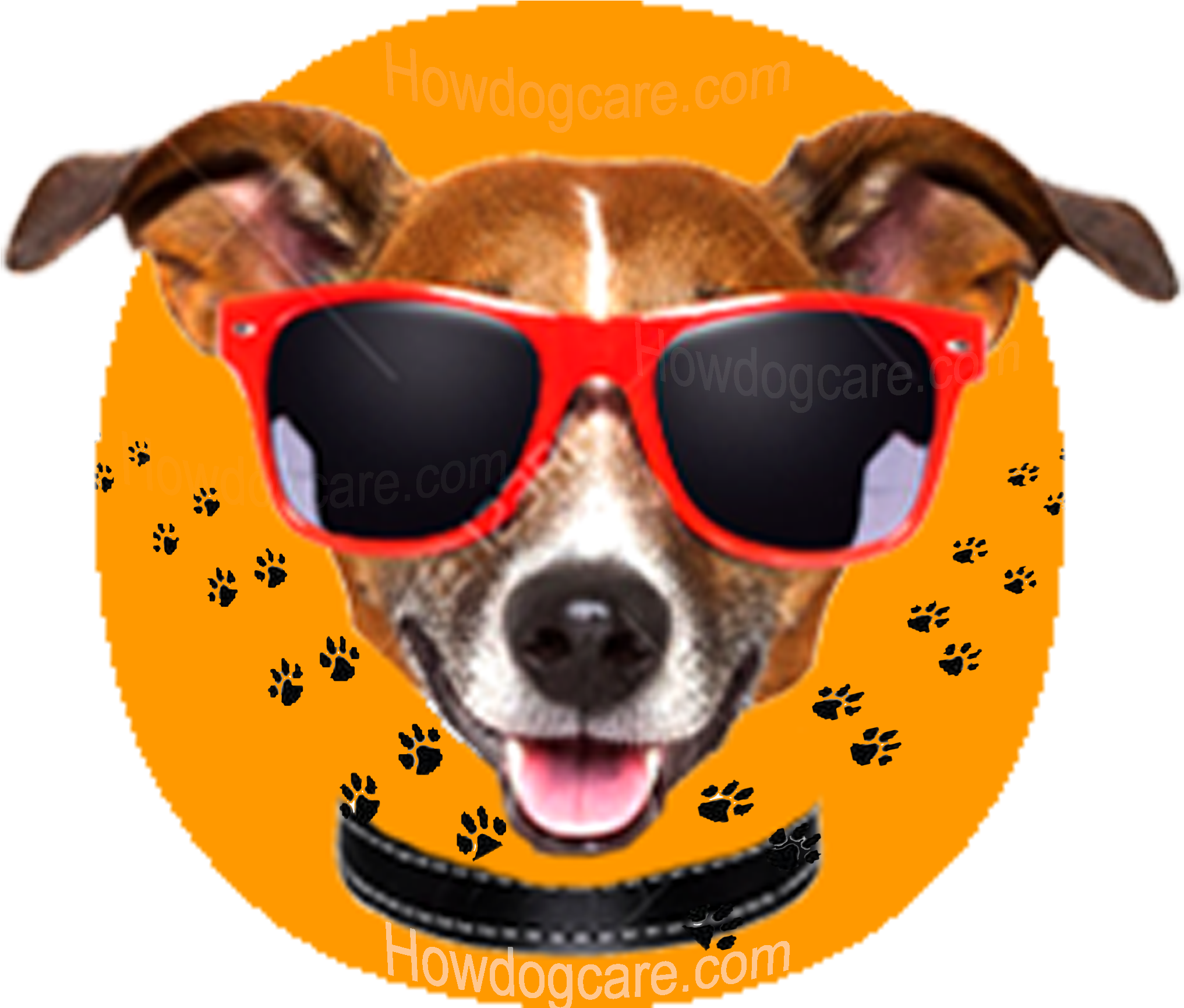 Dogs With Sunglasses - Ok Dog (2048x1775), Png Download