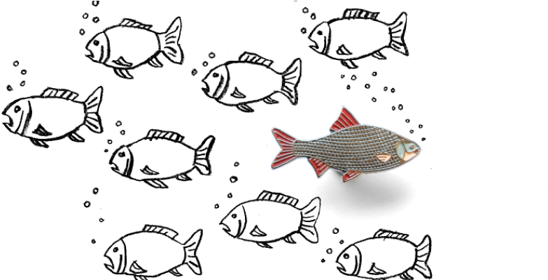 Vc Opportunities - Coral Reef Fish (950x400), Png Download