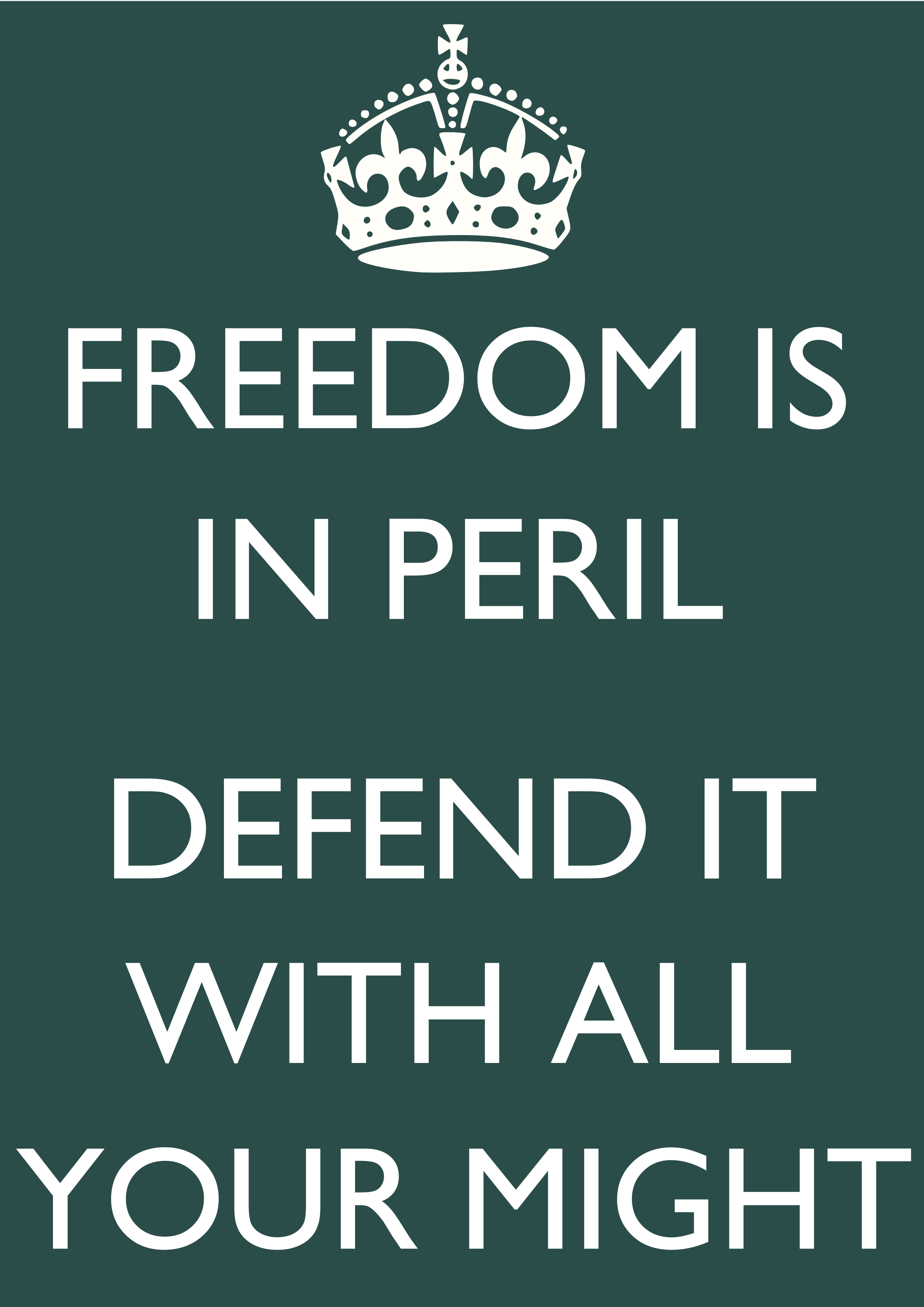 Poster "freedom Is In Peril" Wordpress, Keep Calm Posters, - Freedom Is In Peril (2480x3508), Png Download
