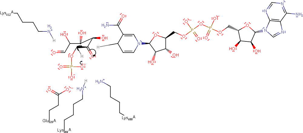 Evidence From Crystallographic Data Suggests The Phosphate-mono - Ink (1000x1000), Png Download