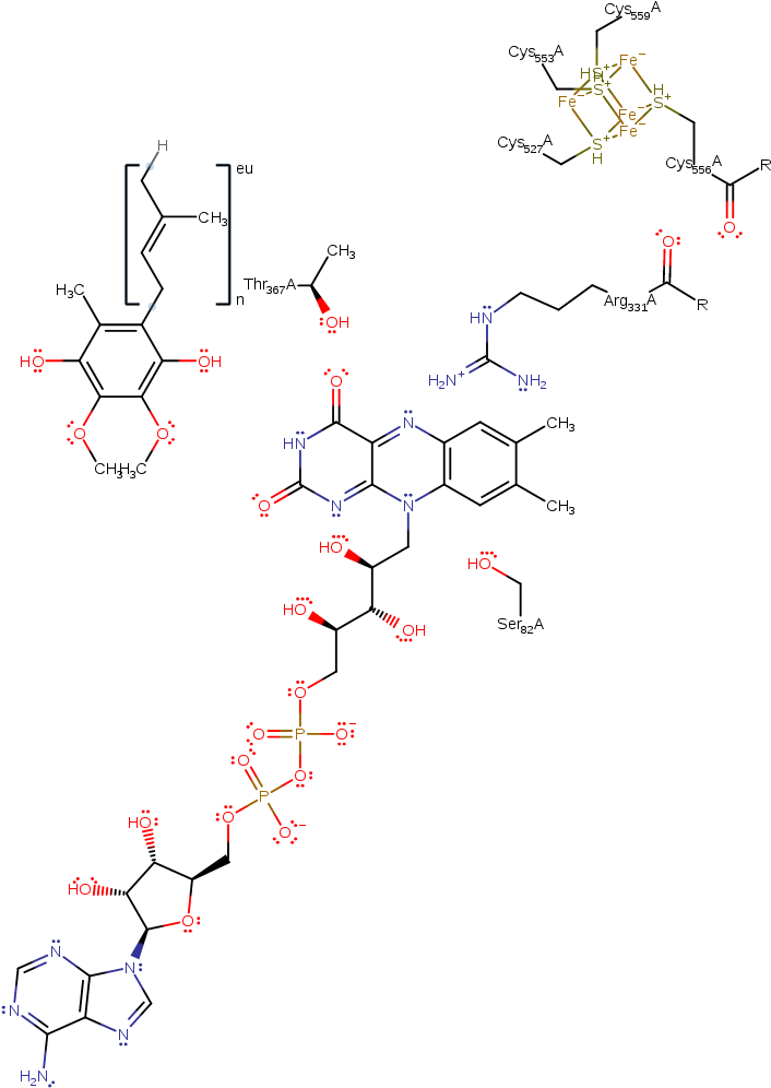 The Reduced Electron Transfer Flavoprotein Delivers - Diagram (1000x1000), Png Download