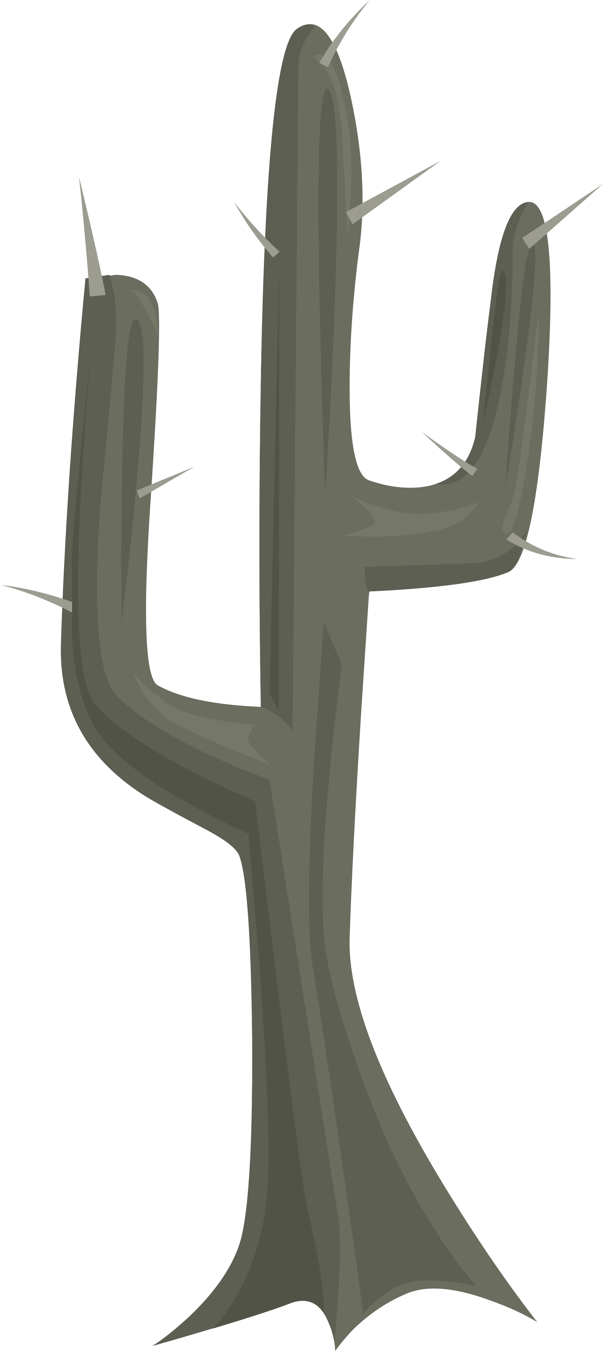 Open - Cactus (2000x4476), Png Download