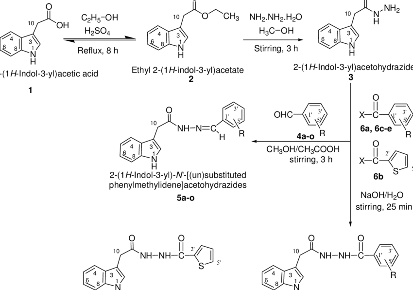 Outline For The Synthesis Of 2 - Benzoyl Group (850x596), Png Download