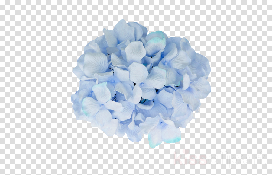 Download Transparent Hydrangea Flower Png Clipart French - Love Cartoon Transparent Background (900x580), Png Download