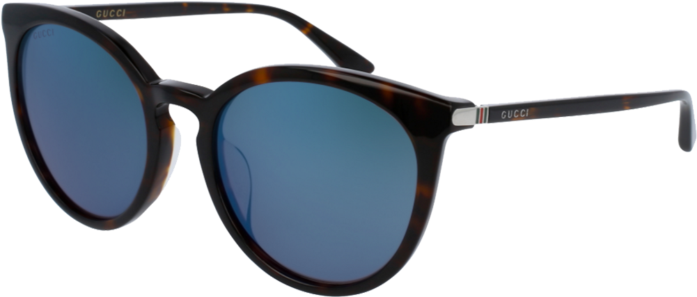 Gucci 0064/sk Havana Blue Mirror - Gucci Gg0064sk Black / Black (1000x800), Png Download