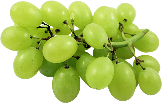 Uvas - Green Grapes (700x467), Png Download