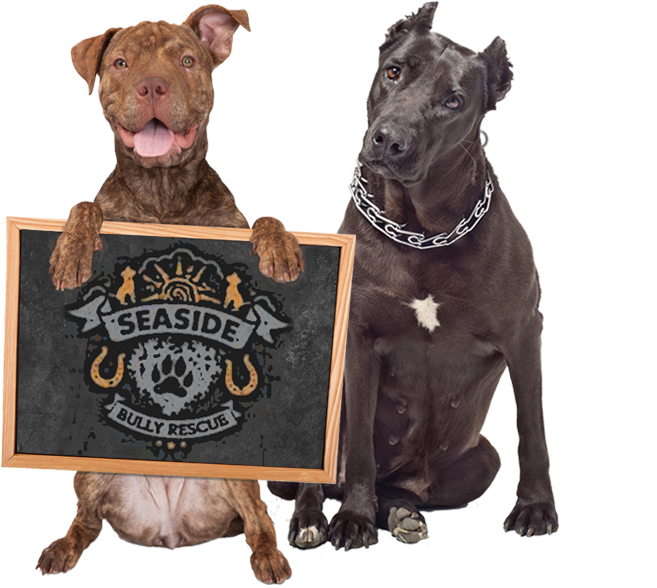 Adopt A Dog Sign (680x700), Png Download