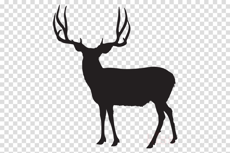 Download Mule Deer Silhouette Clipart White-tailed - Numero 8 Transparente (900x600), Png Download
