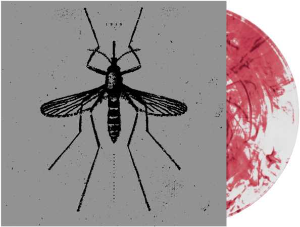 Isis - Mosquito Control - Isis The Mosquito Control (600x600), Png Download