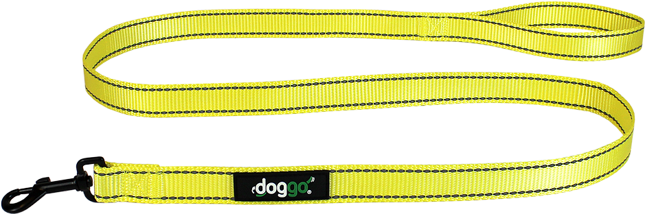 Reflective Nylon Leash - Pet Adventures Worldwide Inc. (1000x1000), Png Download