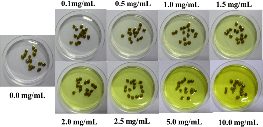 S10 Growth Of Green Beans After 0 H At Different Concentration - Concentration (850x441), Png Download