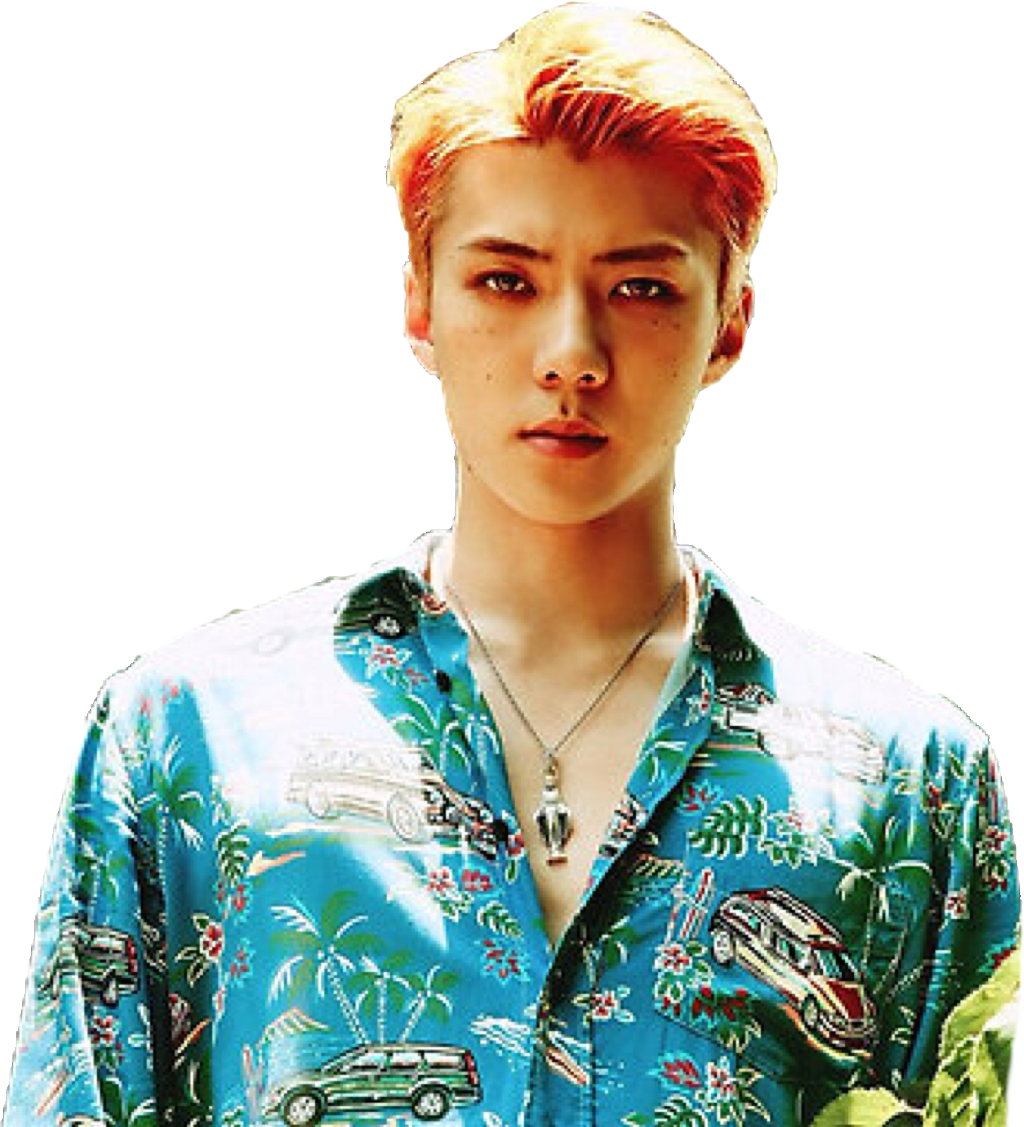 Sehun Exo Kokobop Exosehun Sehunexo Kpop Freetoedit - Sehun Kokobop Png (1024x1127), Png Download