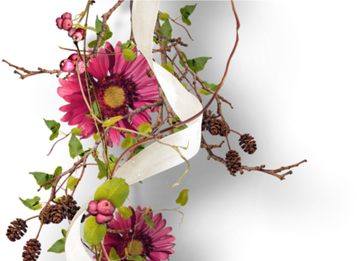 Png Flower Clip Arts Pinterest Flowers, Flower - Oracion Por Sanidad Enfermos (1368x855), Png Download