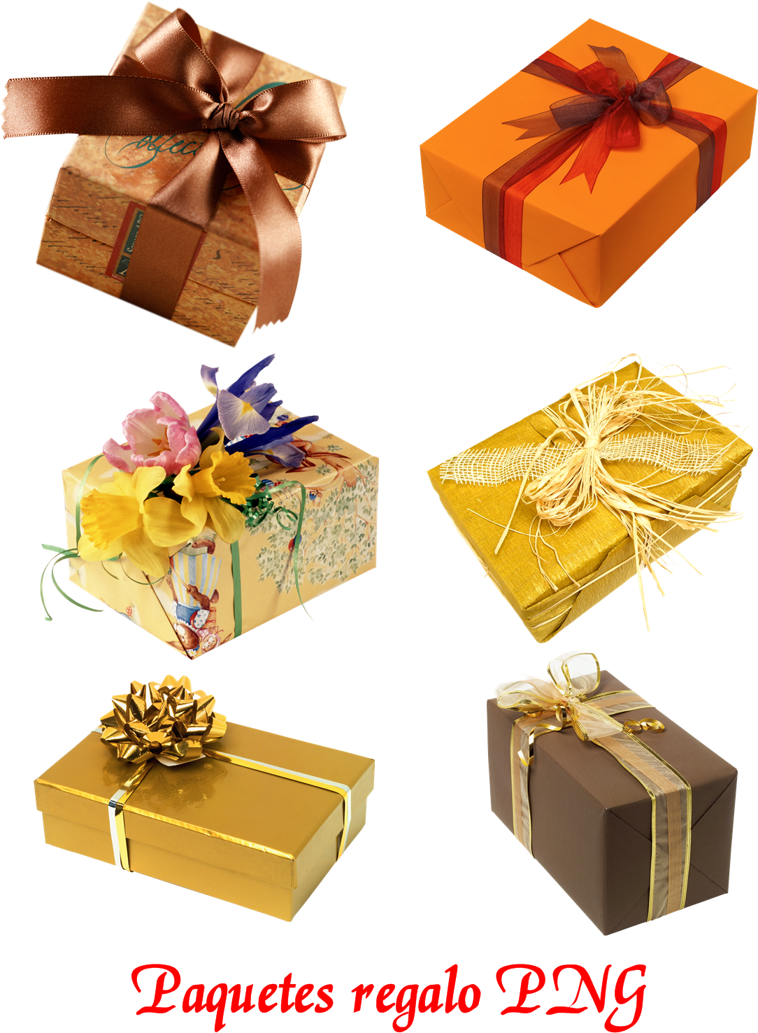 Paquetes Regalo [hd] - My Journey To Parenthood Journal (1200x1500), Png Download