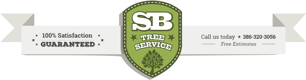Sb Tree Service - Growth (1010x331), Png Download