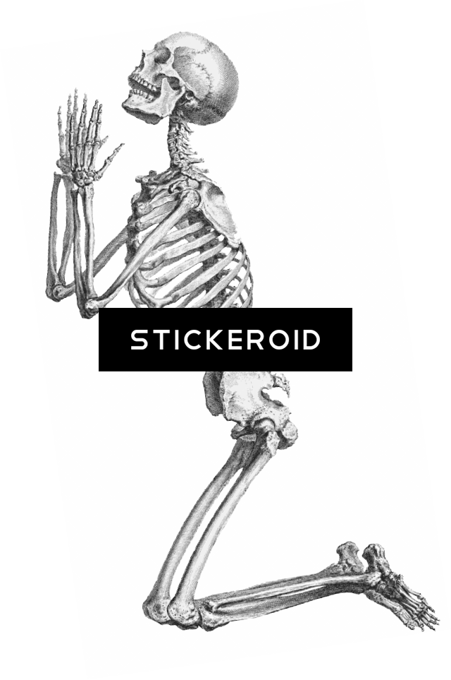 Halloween Skeleton - William Cheselden Praying Skeleton (640x963), Png Download