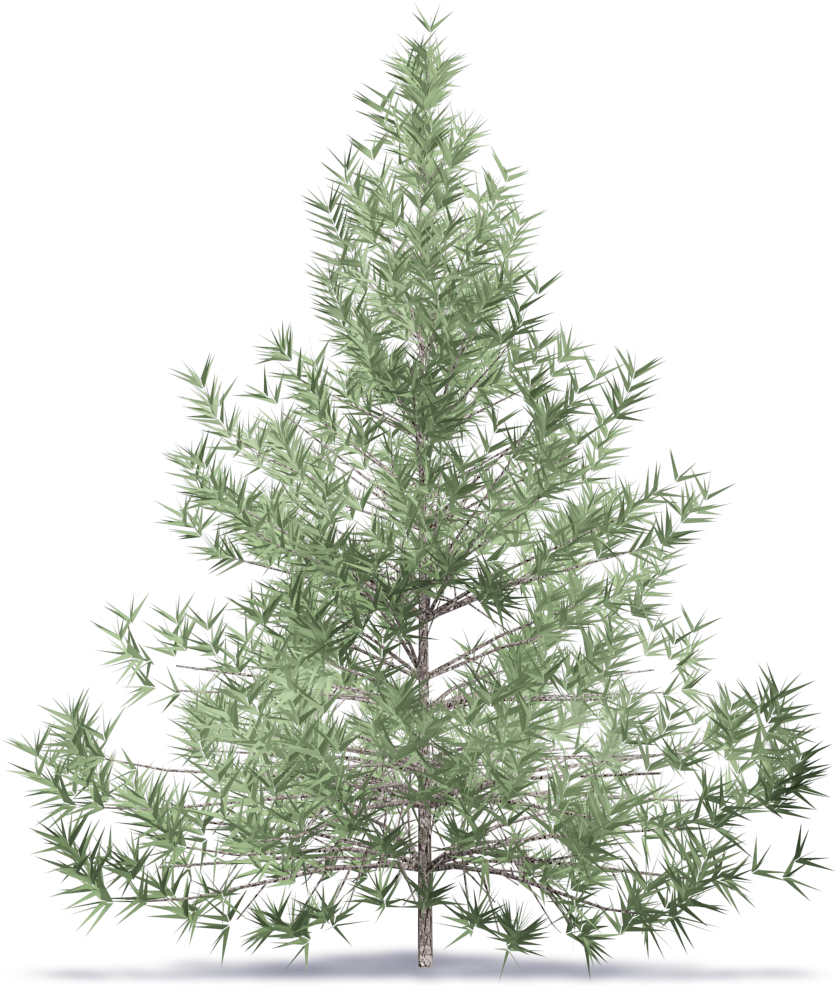 Fir Tree - Noble Fir Flocked Artificial Christmas Tree (1000x1000), Png Download