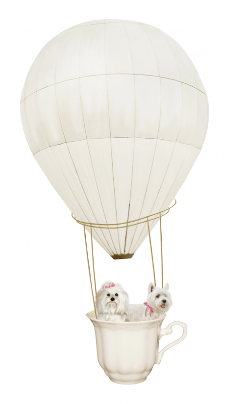 [ Img] - Portable Network Graphics (500x824), Png Download