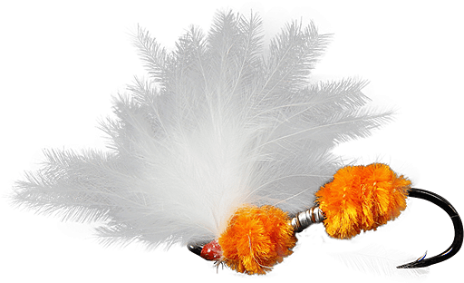 Still Life Photography (555x741), Png Download