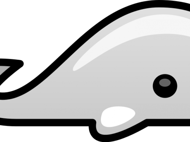 Sperm Whale Clipart Regular - Whales (640x480), Png Download